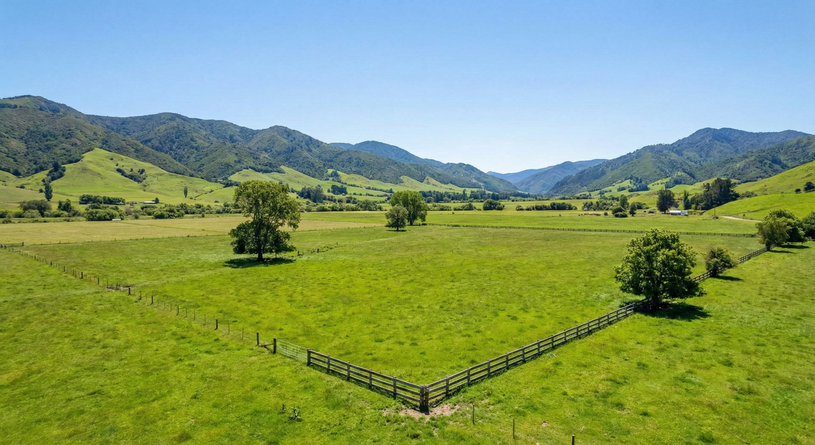 Gemini_Generated_Image_je0t1bje0t1bje0t