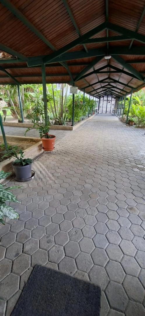 Alquiler 350 – Apartamento Urb San jacinto (Eliani Rainoldi) (19)