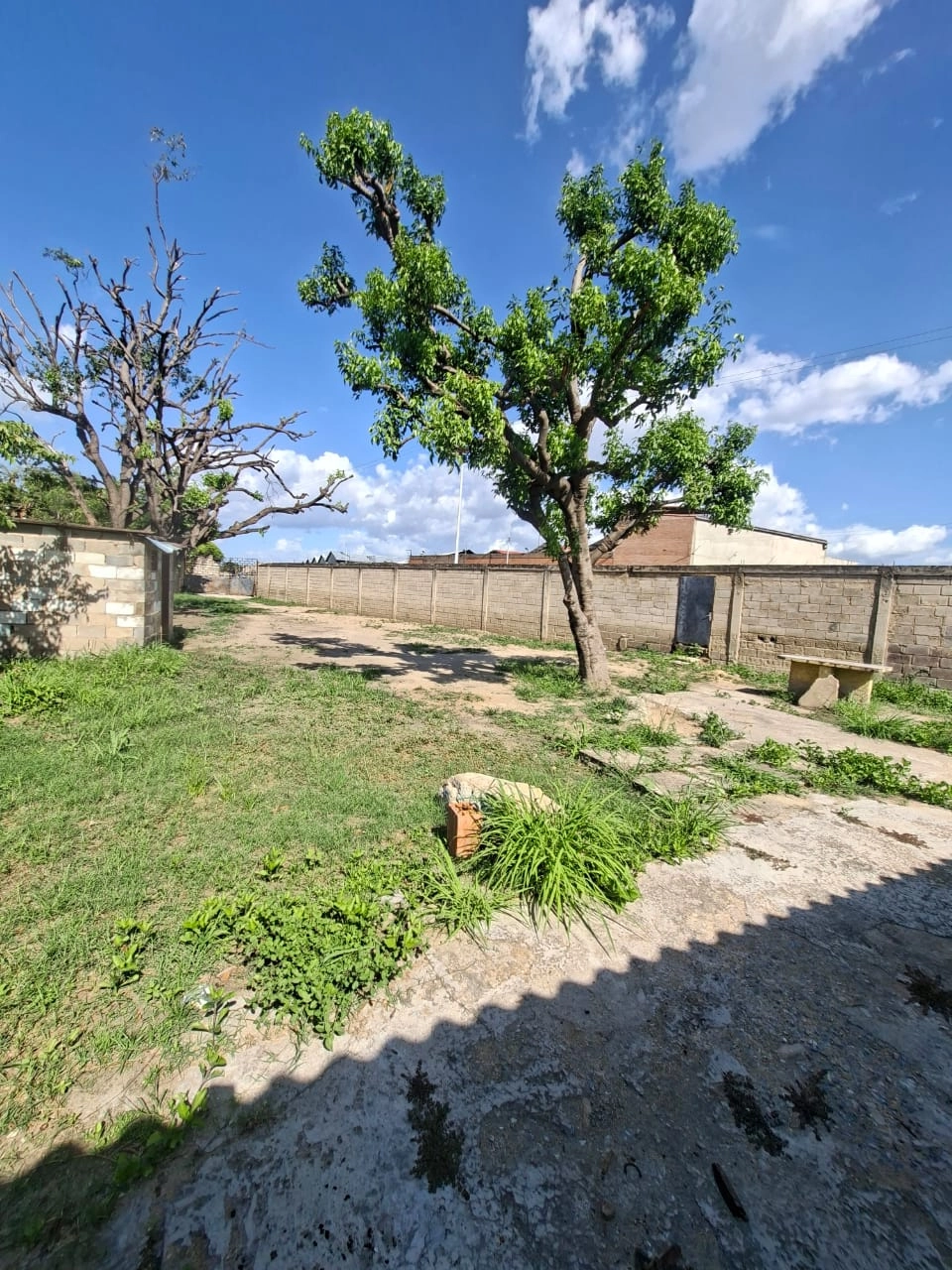 Venta 85.000 – Terreno el Tierral (Evelyn Concepcion) (6)