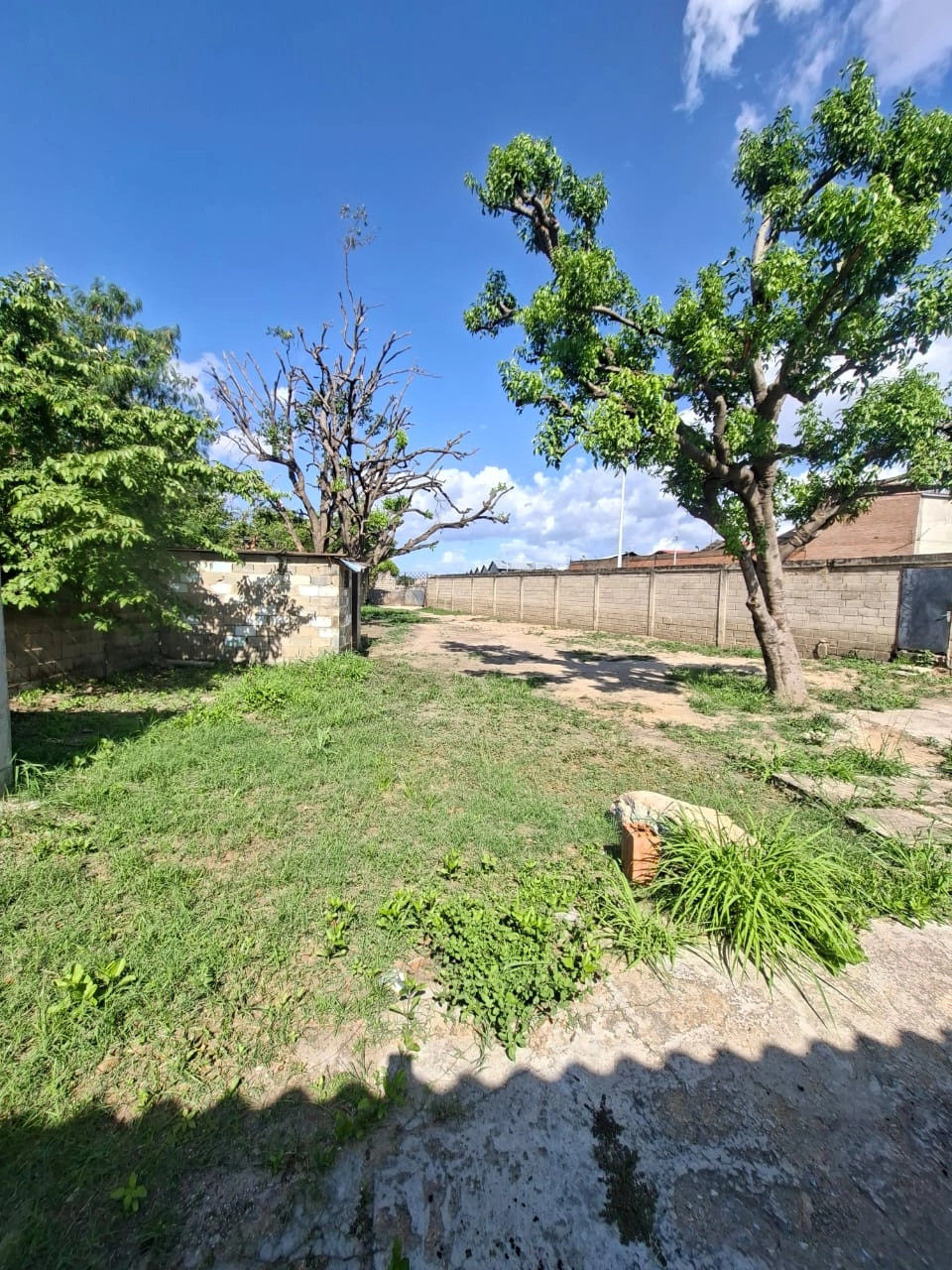 Venta 85.000 – Terreno el Tierral (Evelyn Concepcion) (7)