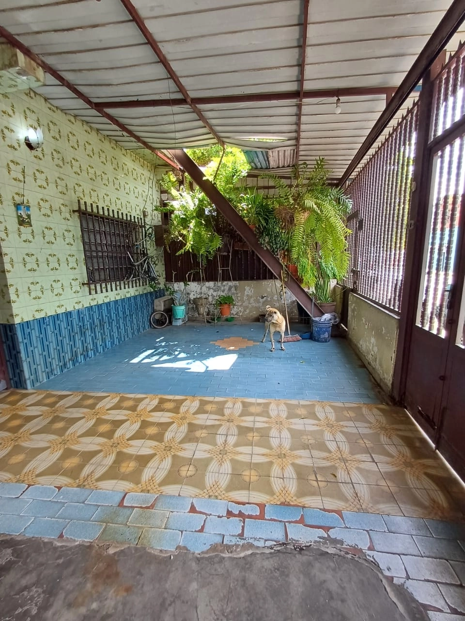 Venta 60.000 – Casa Calle Ayacucho (Nerluz Moreno) (8)