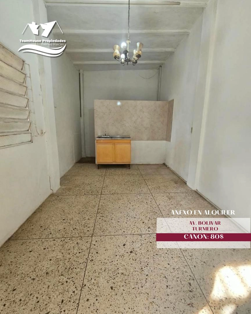 Alquiler 80 – Anexo Av Bolivar Turmero (Angelica Rainoldi) (1)